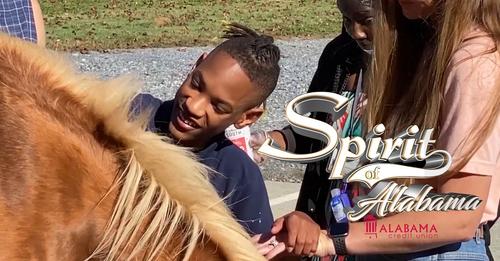  A boy pets a horse as a physical therapists helps to guide him.
